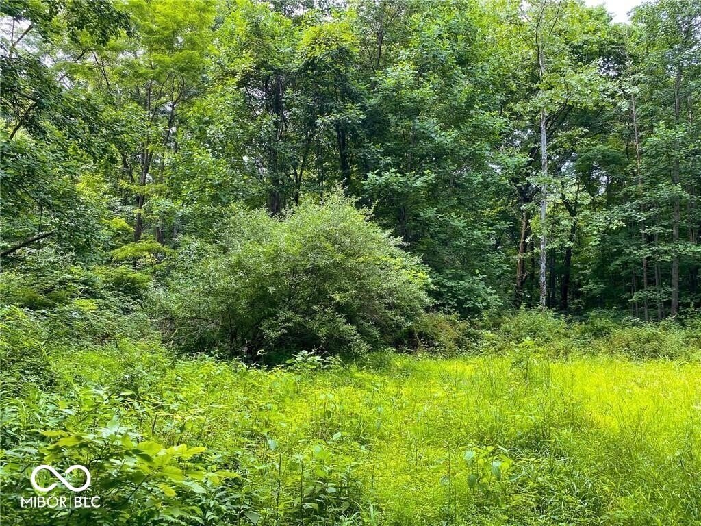 Picture 11