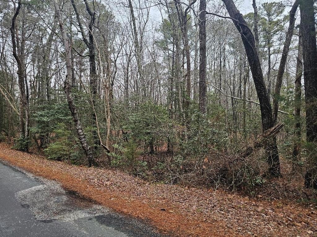 Water Access Wooded Lot