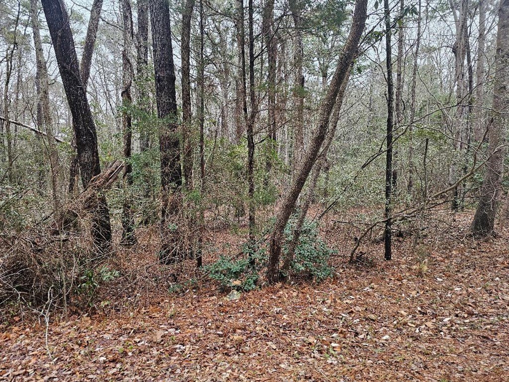 Picture 2