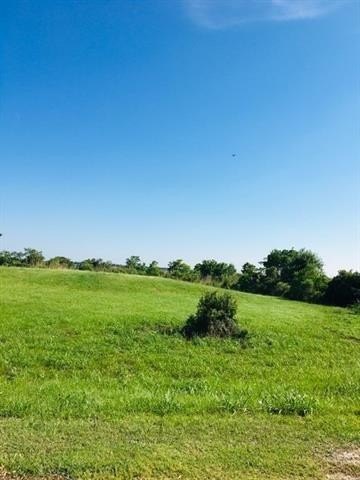 Picture 11