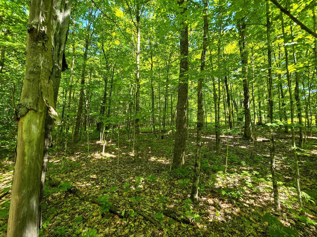 Picture 10