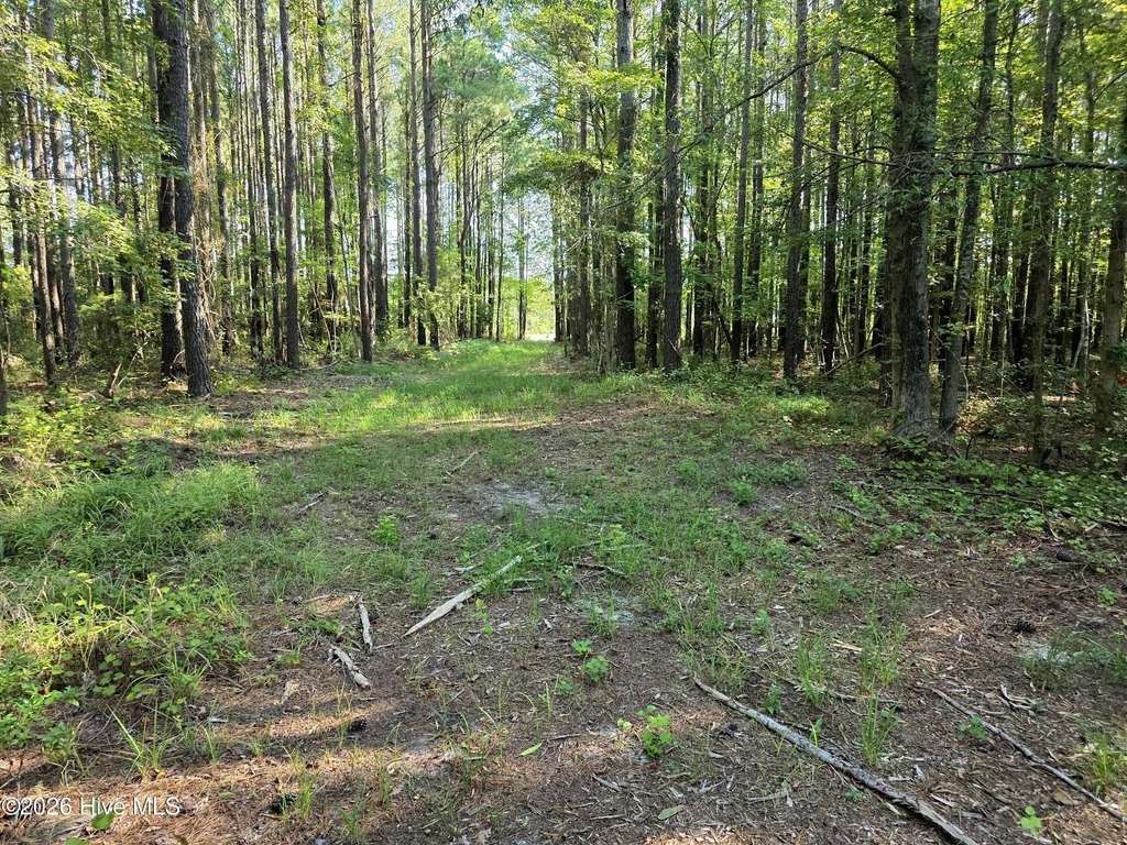 Picture 19