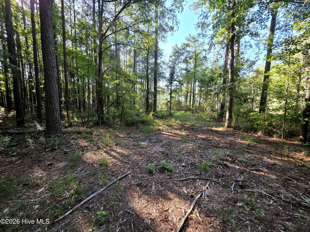 Picture 21