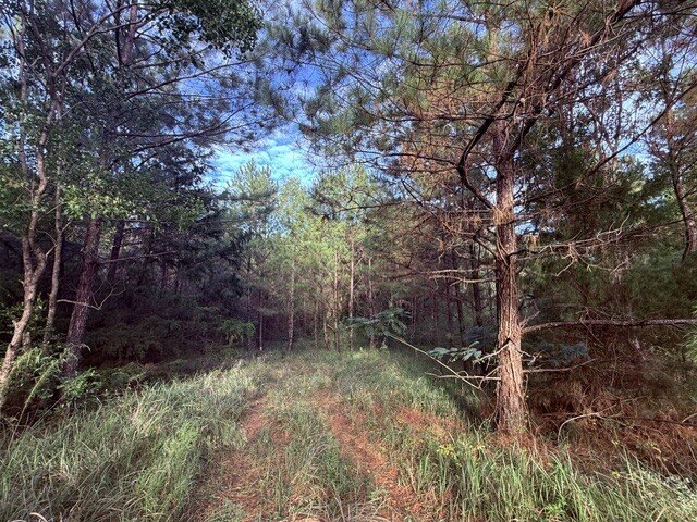 Picture 6