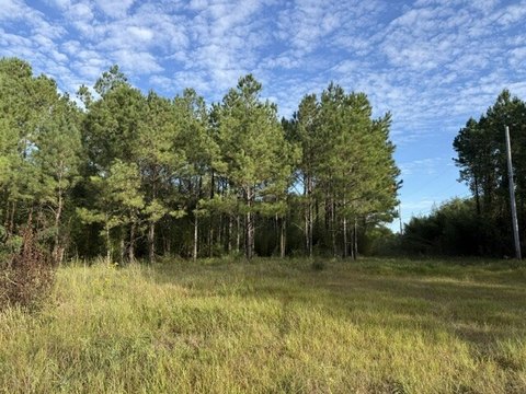 Land, Eight Mile, AL