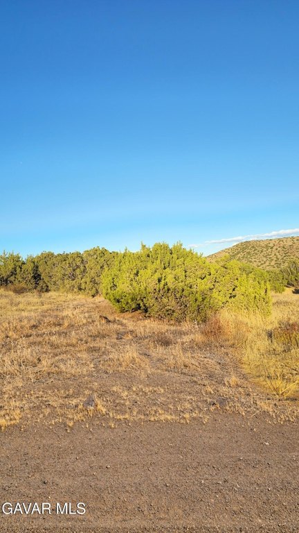 Picture 18