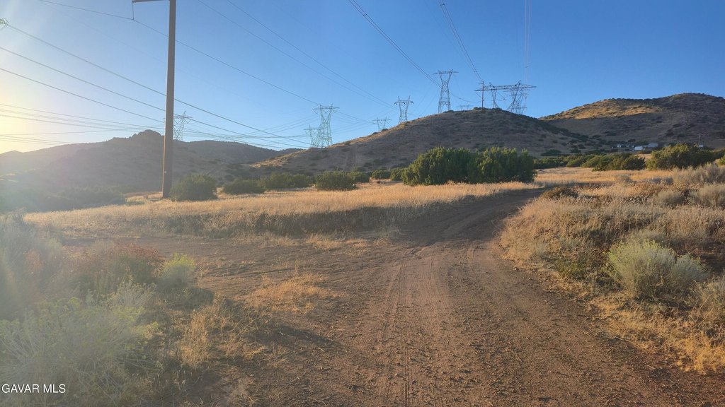 Picture 15