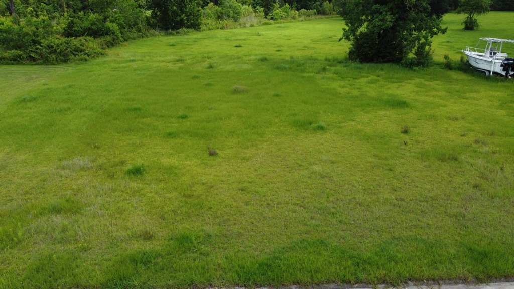 Picture 8