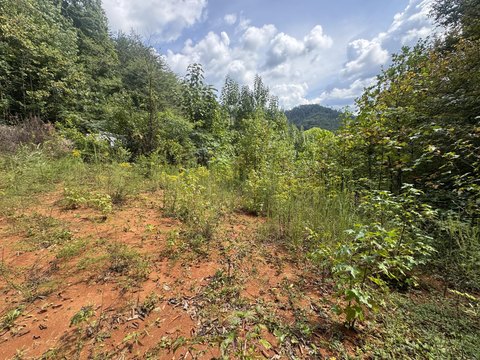 Land, Del Rio, TN