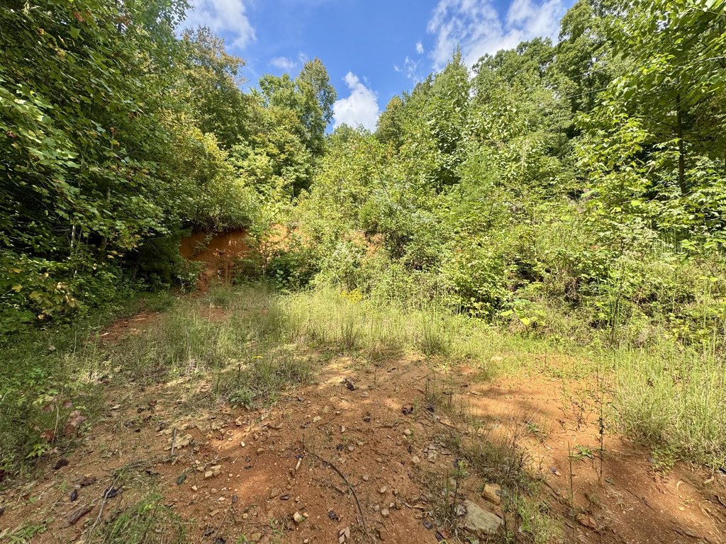 Picture 5