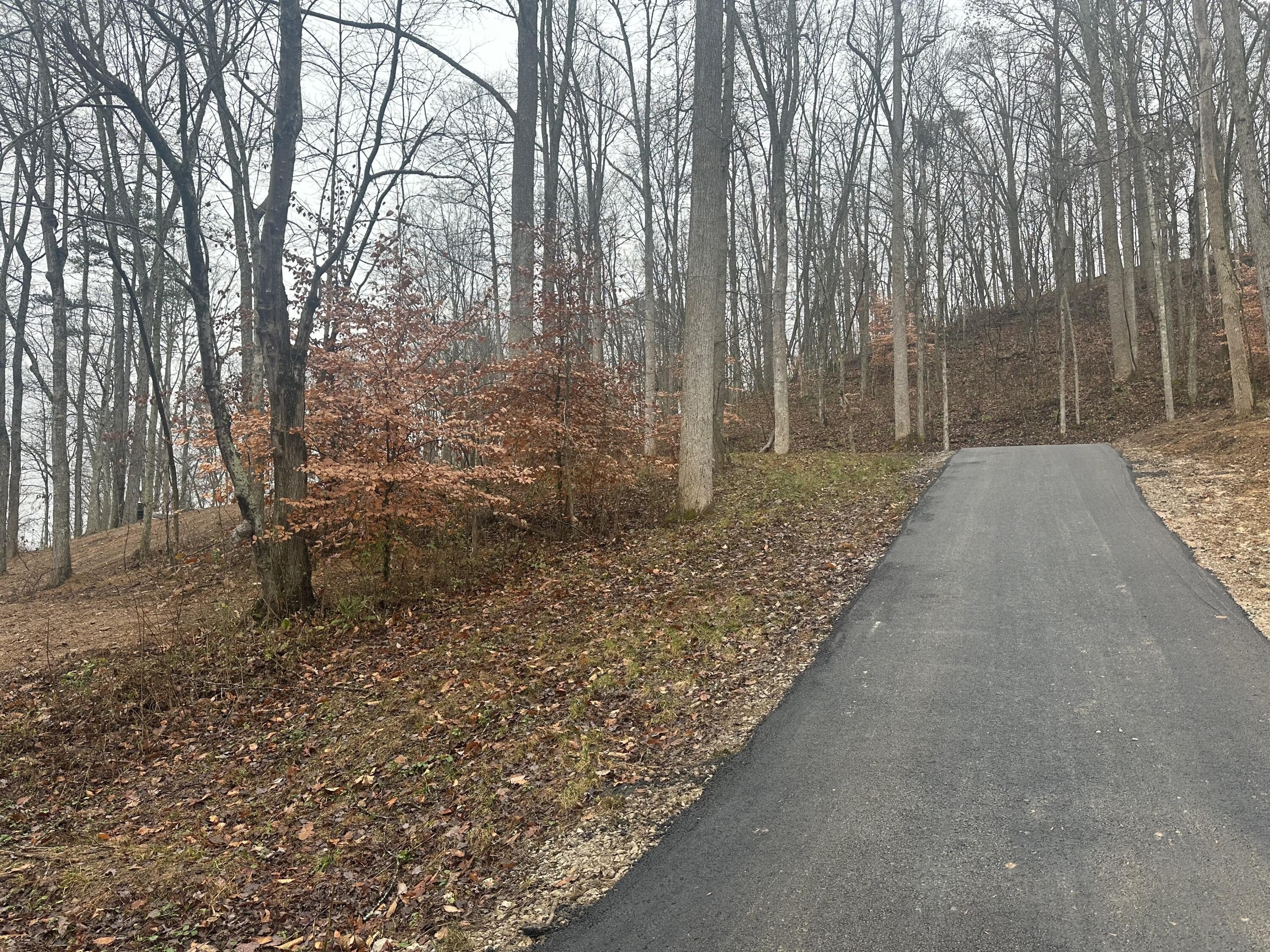 Wooded Lot with Utilities