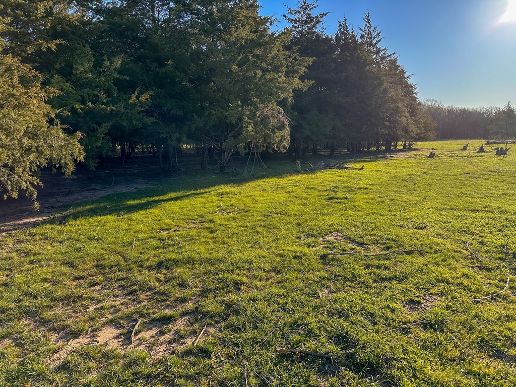 Picture 23