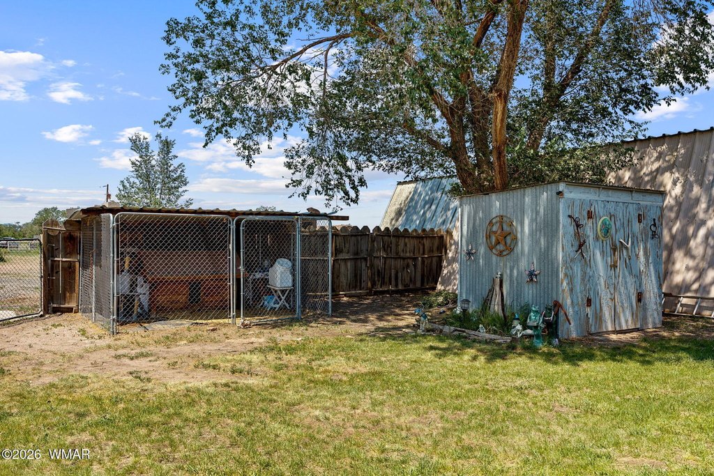 Picture 28