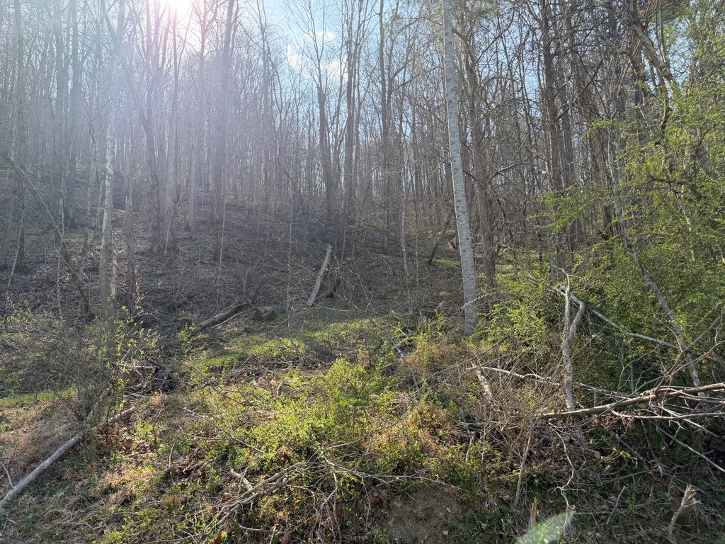 Picture 7