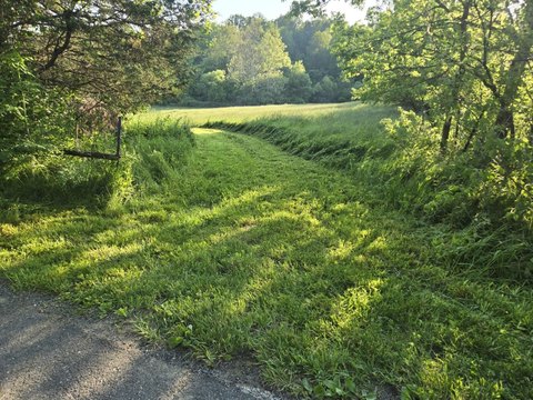 Wooded Hunting Land