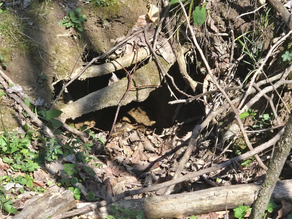 Picture 44