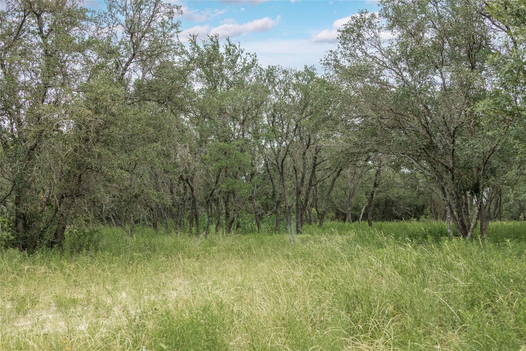 Picture 33