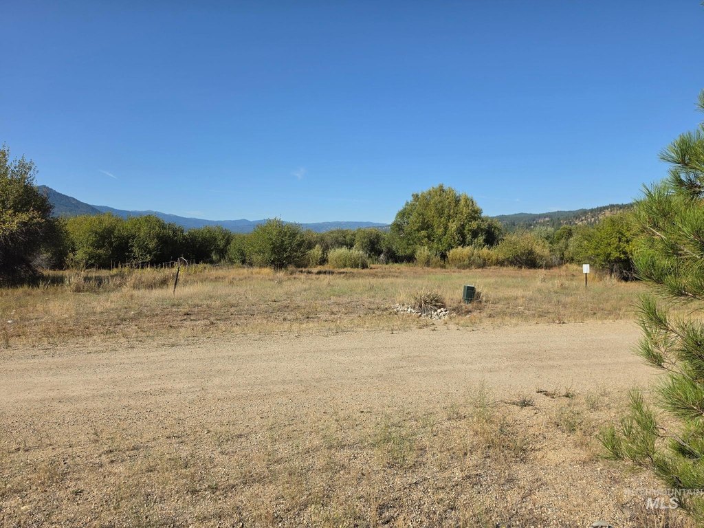 Picture 25