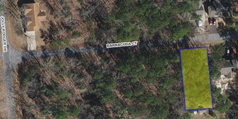Vacant Lot in Greenbackville, VA