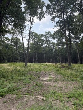 Cleared Buildable Lot