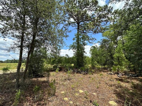 Residential Homesite Near Highway