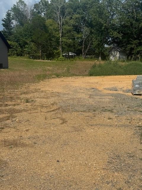 Picture 4