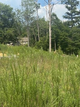 LAND - LaFayette, GA