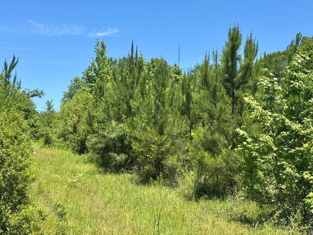 Picture 30