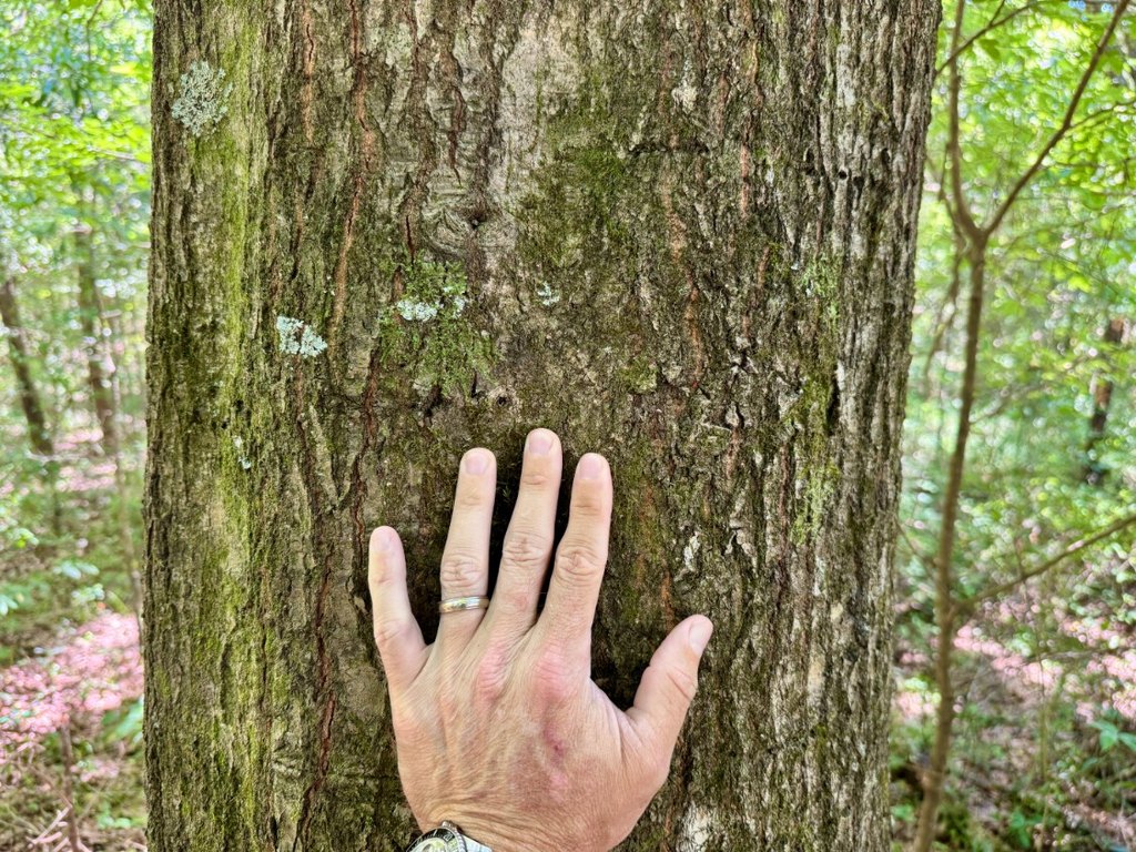 Picture 46