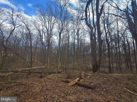 Wooded Lot with Panoramic Views