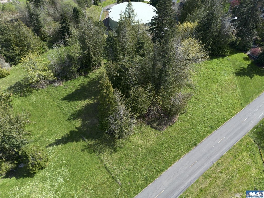 Picture 44