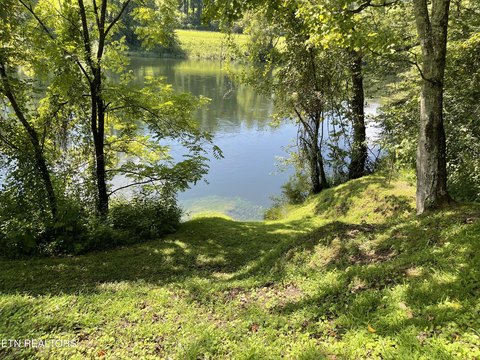 Clinch Riverfront Recreation Land, Rocky Top