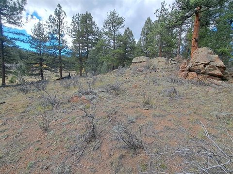 Treed Land with Mountain Views