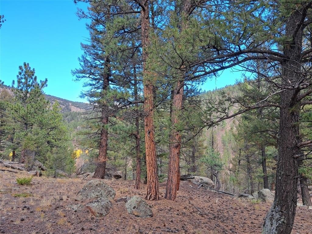 Picture 17