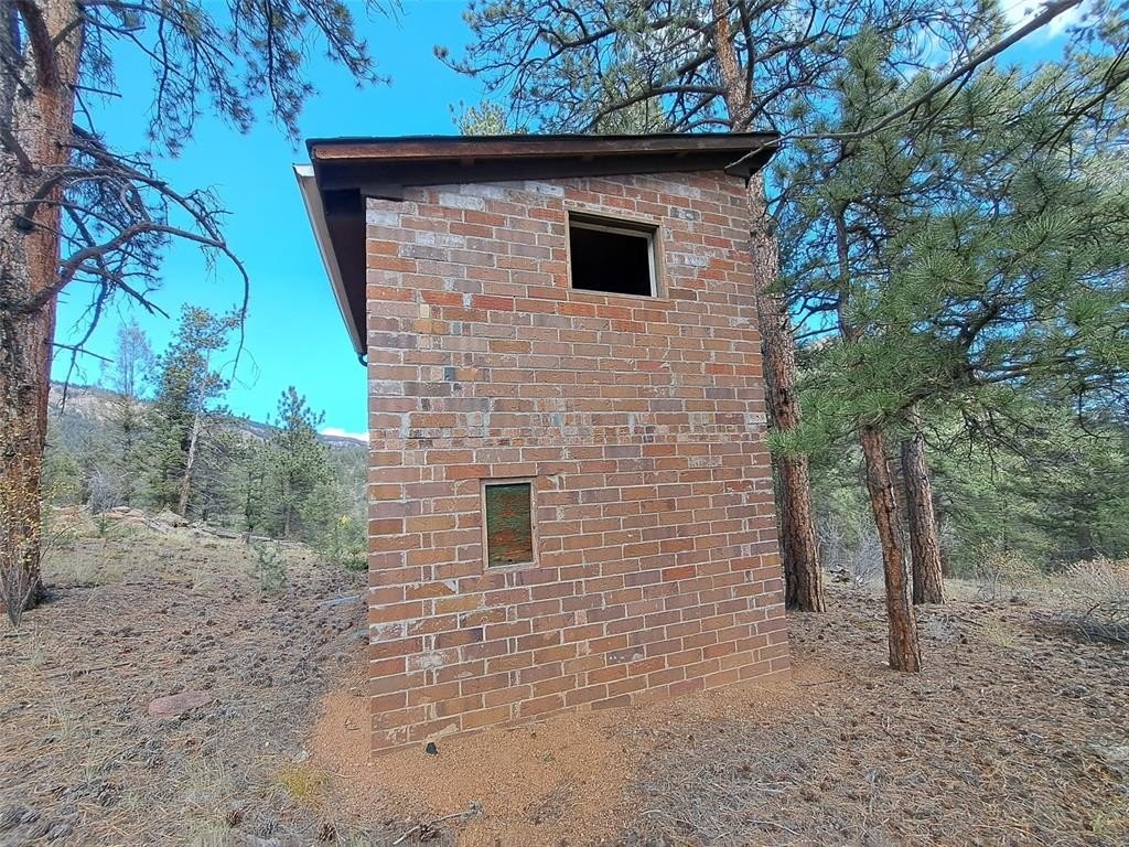 Picture 5