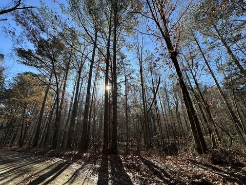 Recreational Land Homesite in Washington, GA