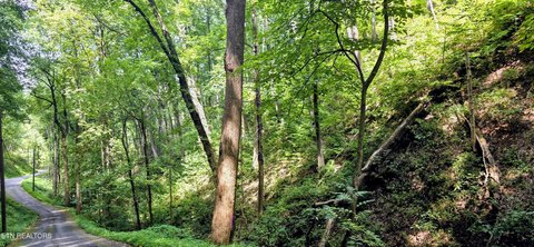 Lots & Acreage, Sevierville, TN