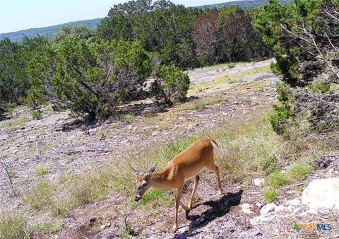 Oglesby, TX Land with Views
