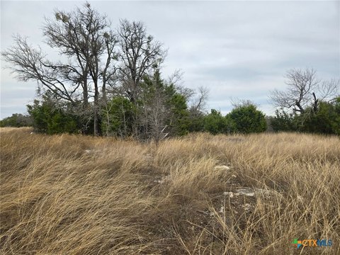 Oglesby, TX Land with Views