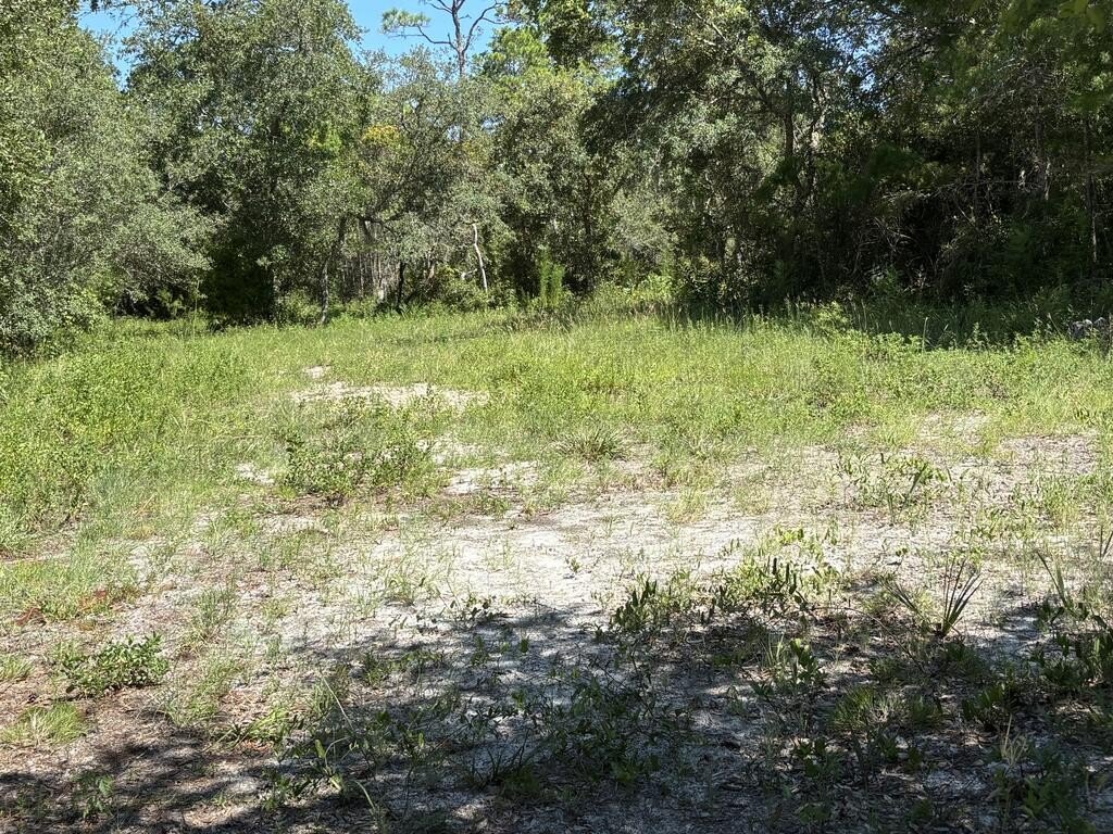 Picture 21