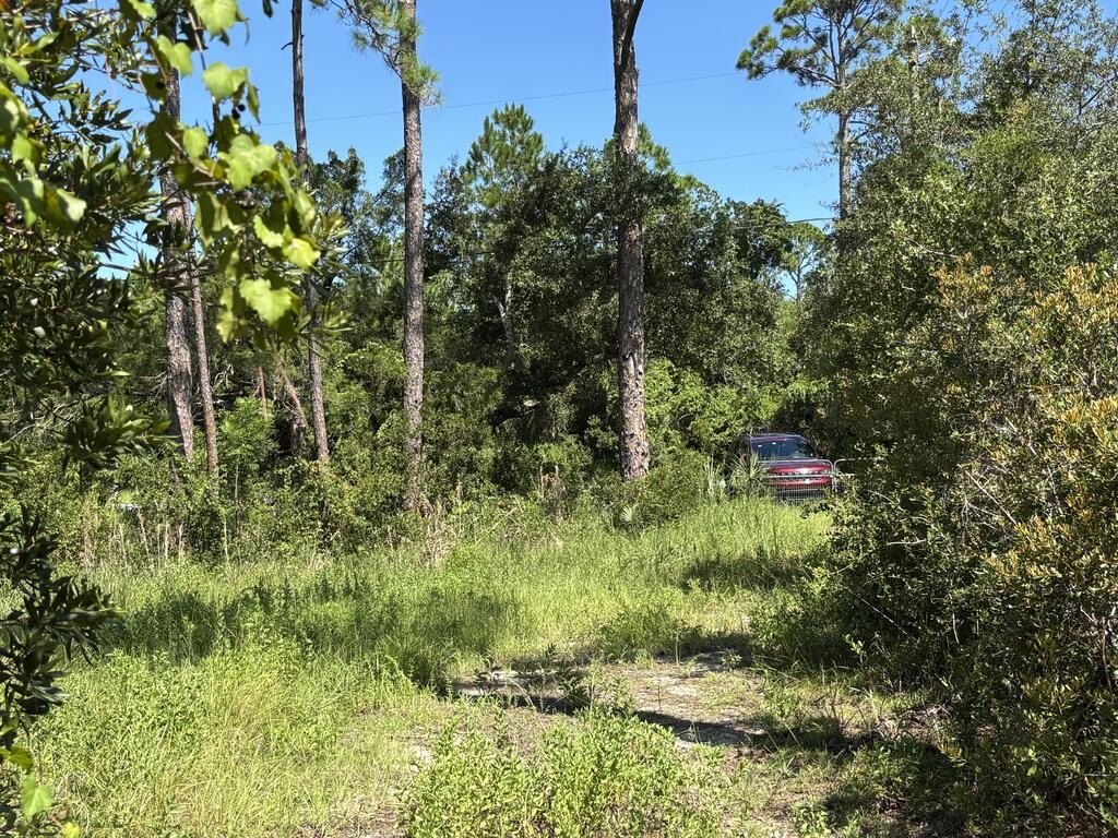 Picture 23