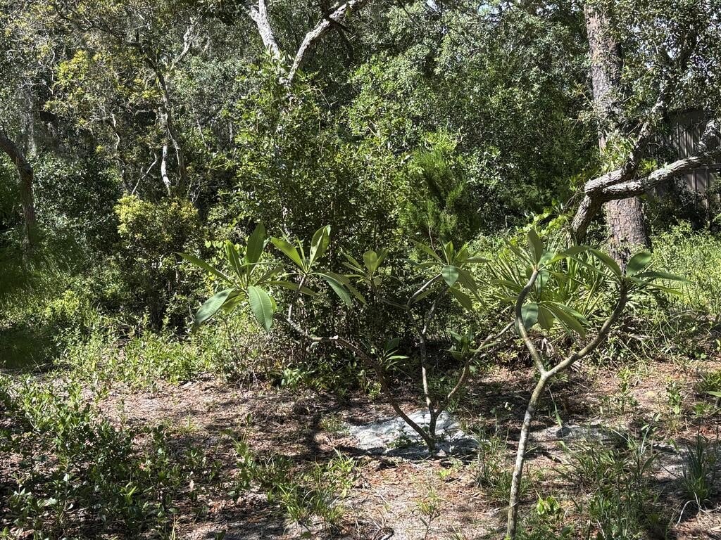 Picture 22