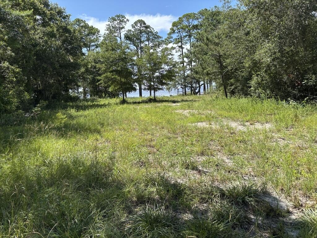 Picture 11