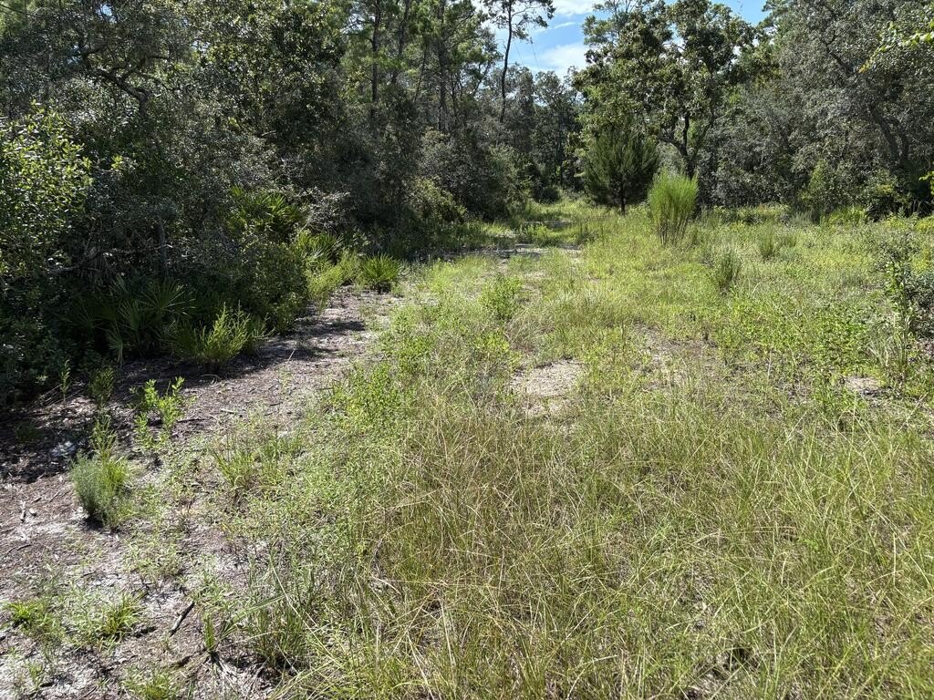 Picture 7