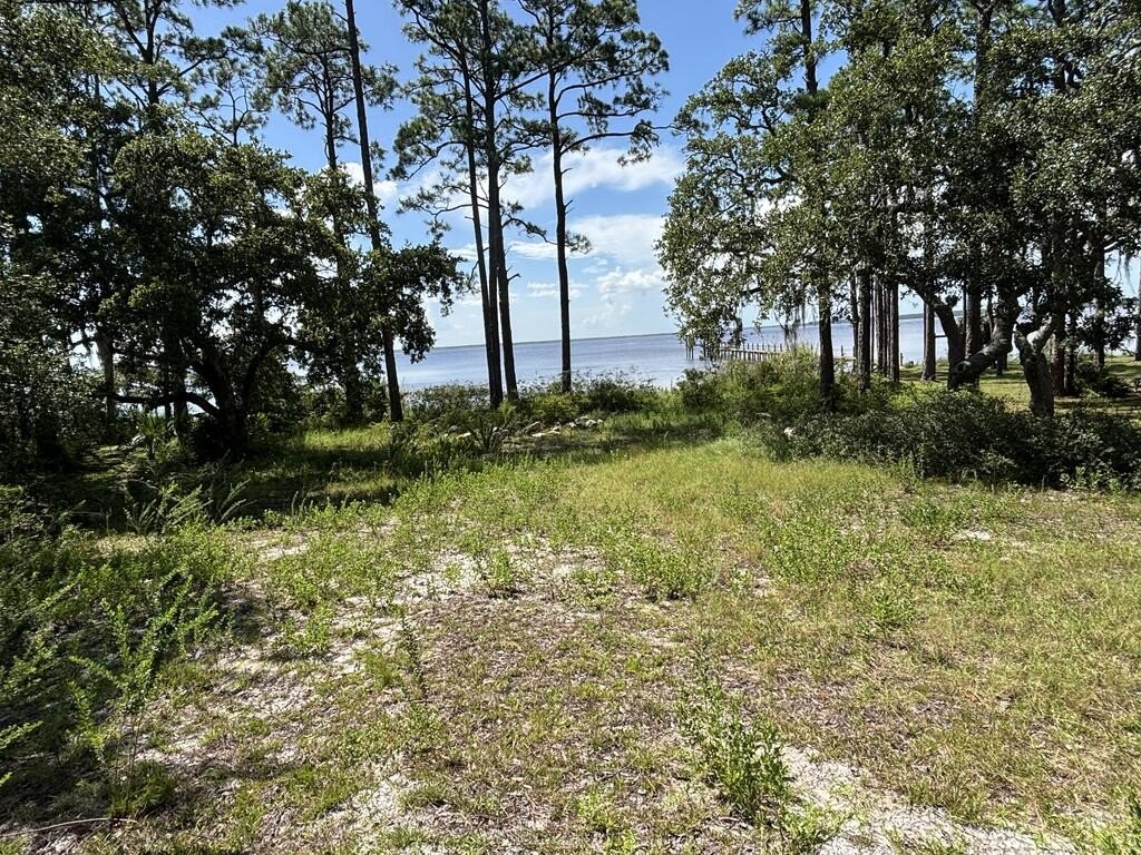 Picture 19