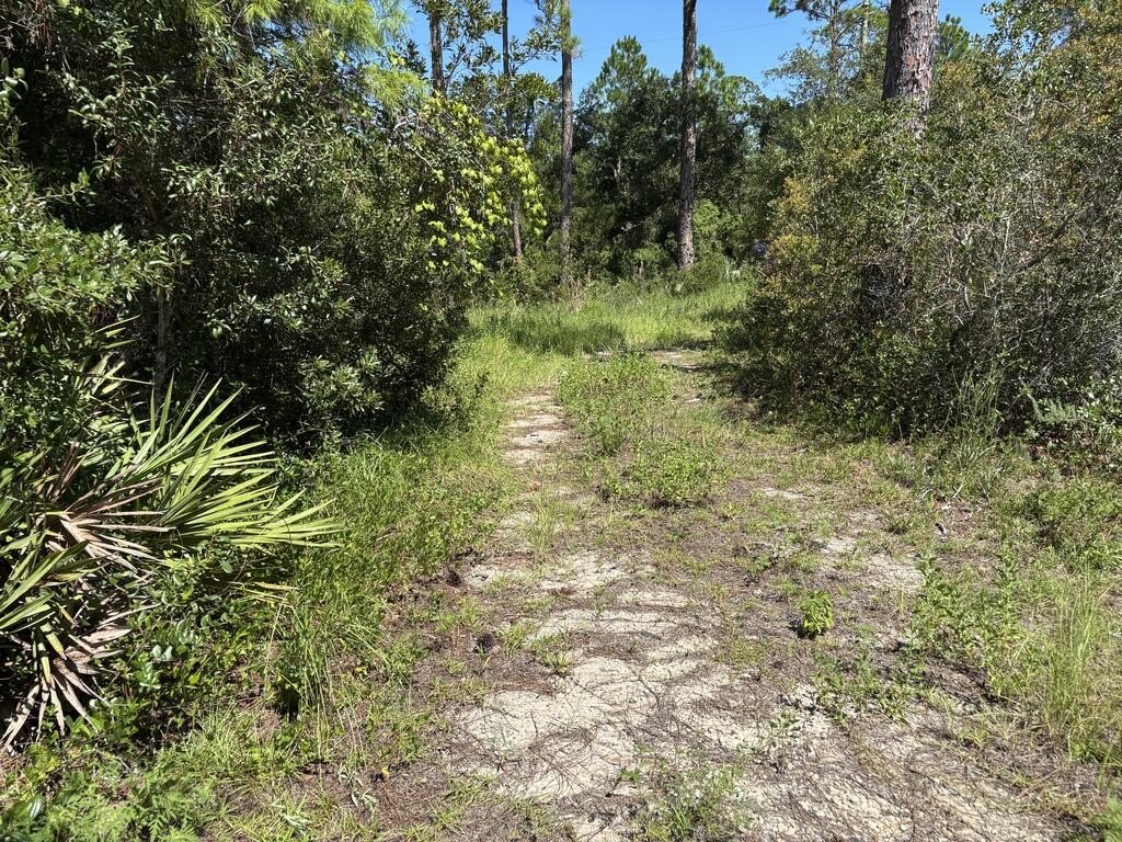 Picture 6