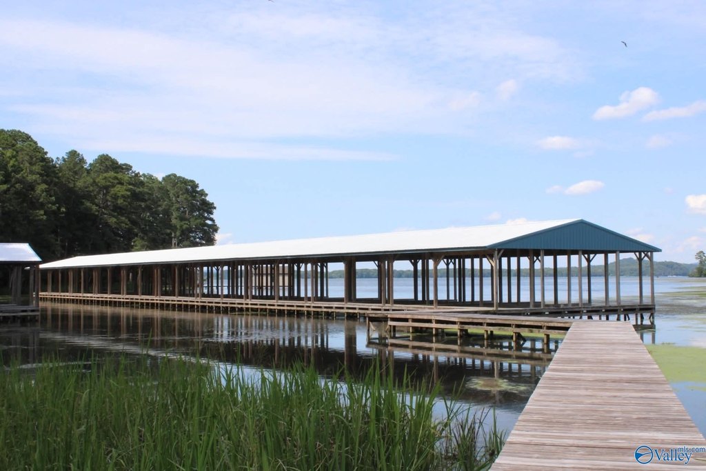 Picture 13