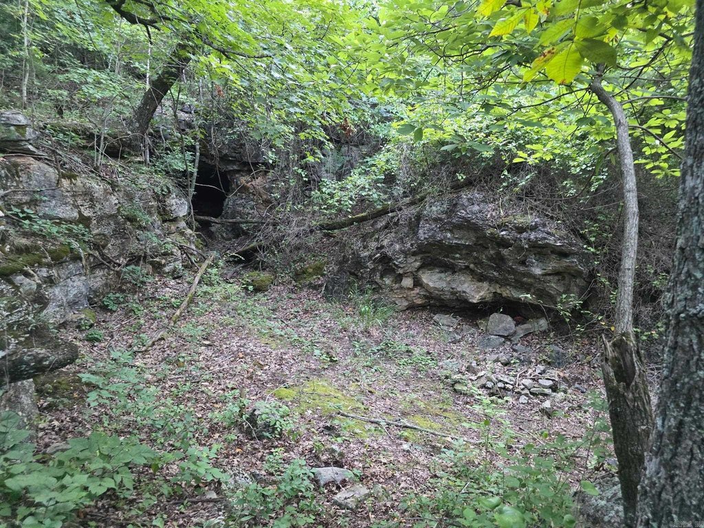 Picture 6