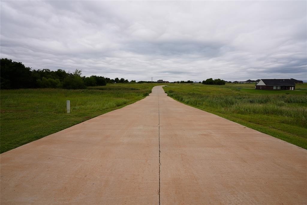 Picture 20