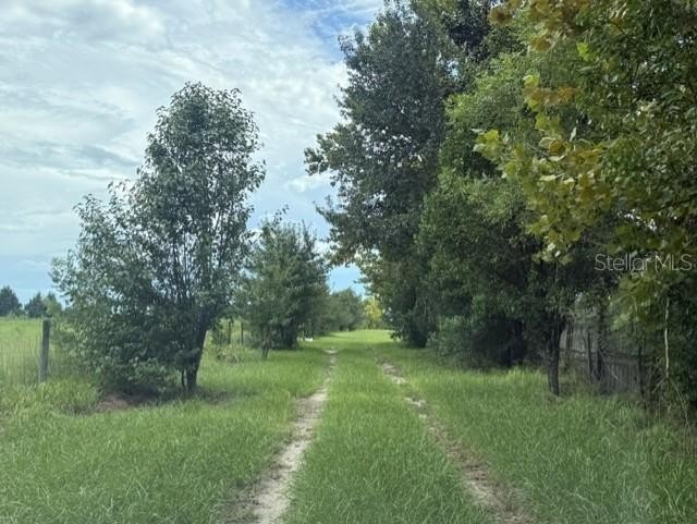 Picture 6